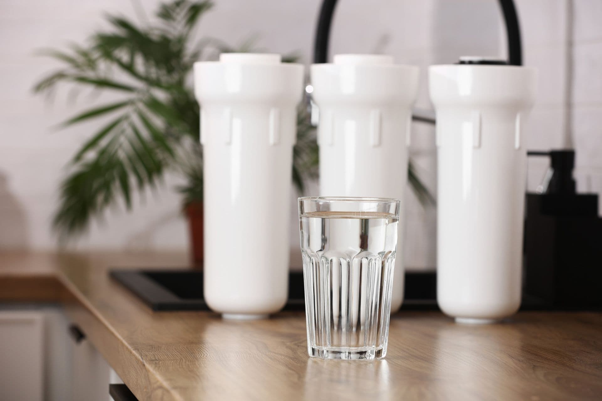 water filtration