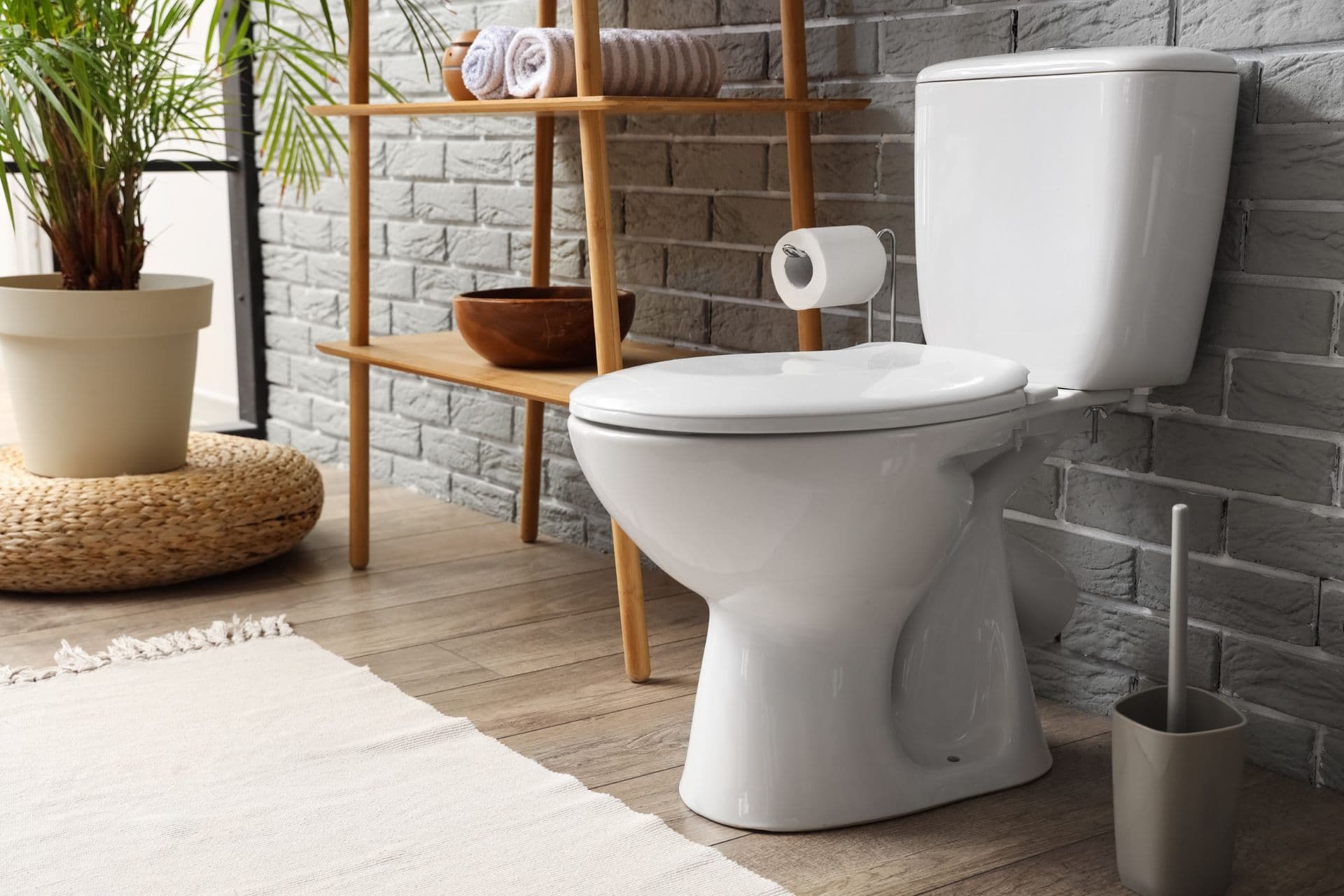 toilet